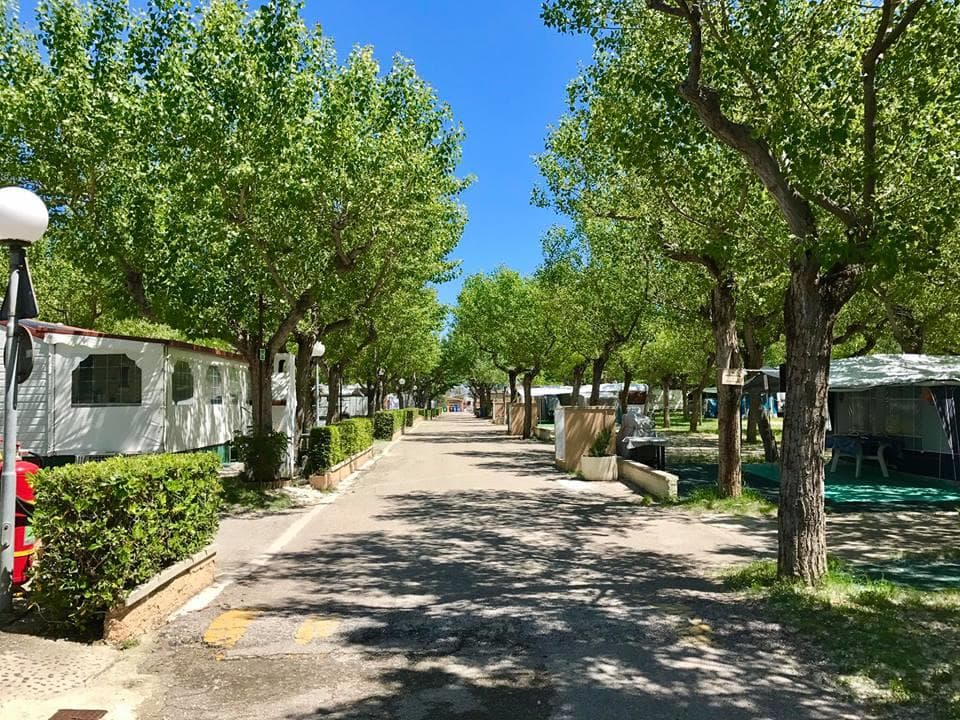 A scenery from Club del Sole Riccione Easy Camping Village