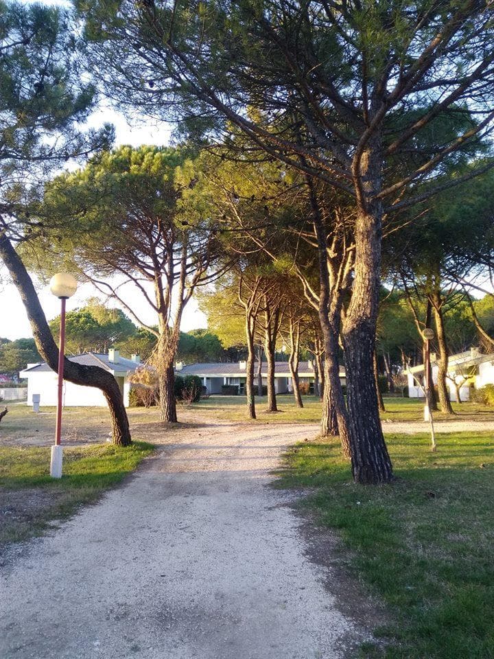 A scenery from Club del Sole Marina Julia Family Collection