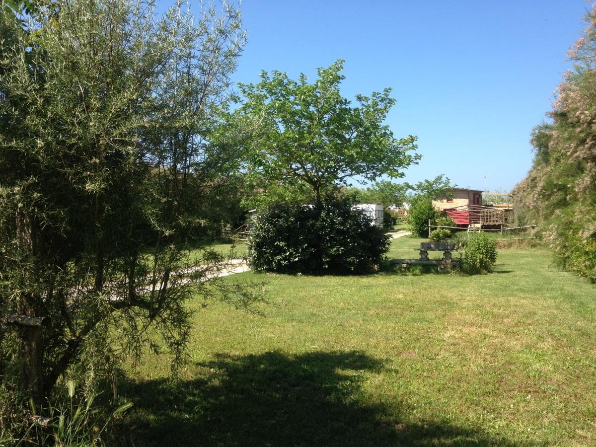 A scenery from Camping Le Chassiron