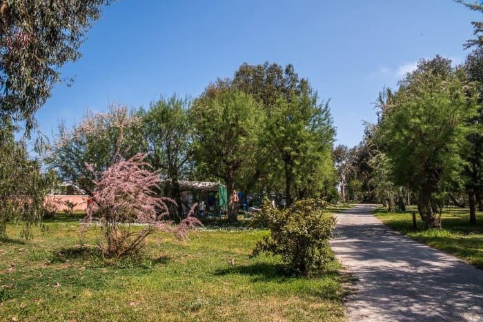 A scenery from Camping-Village Arinella Bianca