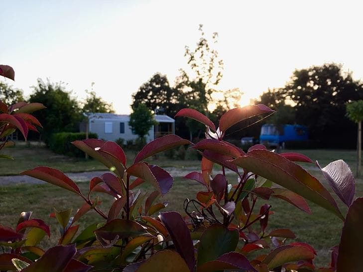 A scenery from Camping Au Pré de l'Etang