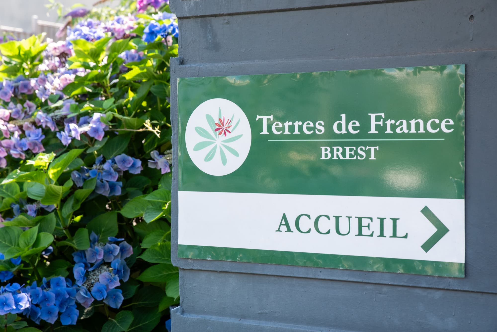 A scenery from Appart'Hotel Brest Pasteur - Terres de France