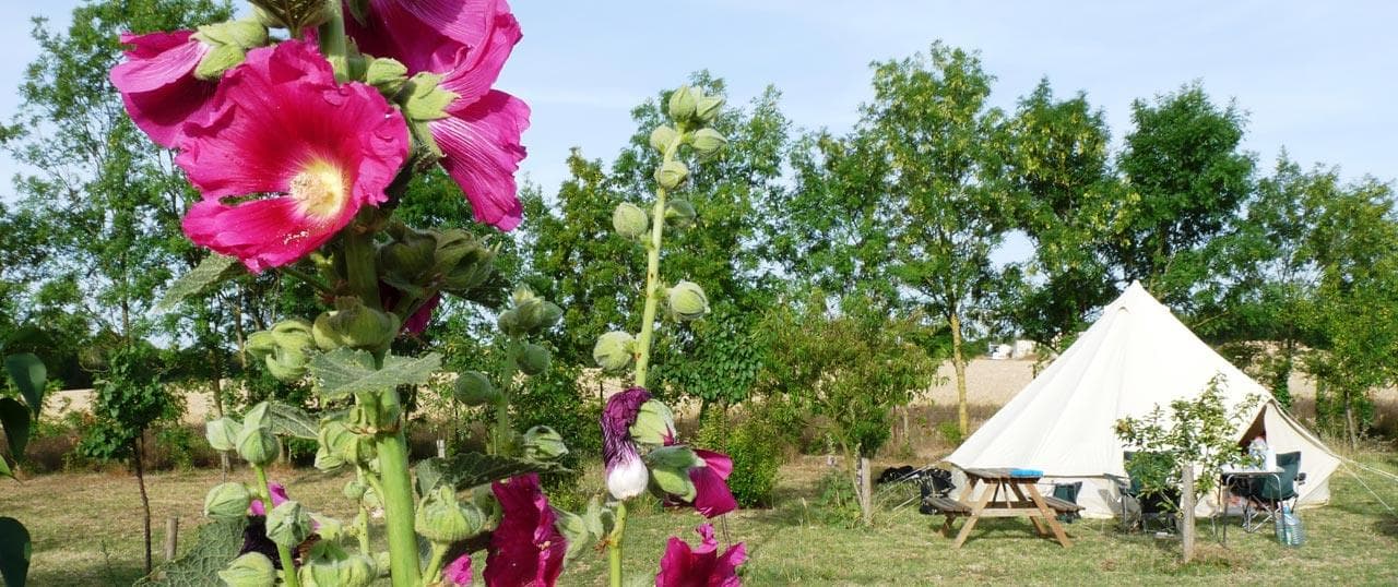 A scenery from Camping Le Verger