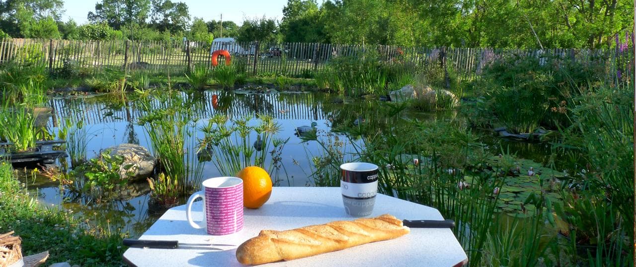 A scenery from Camping Le Verger