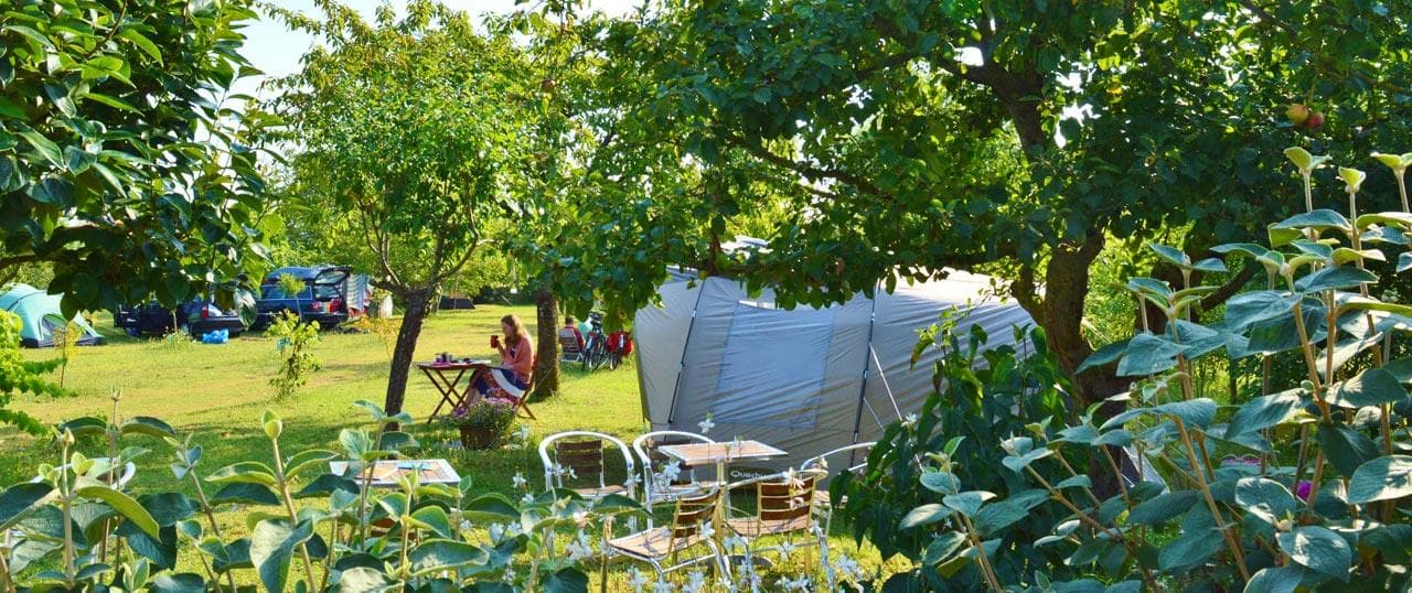 A scenery from Camping Le Verger