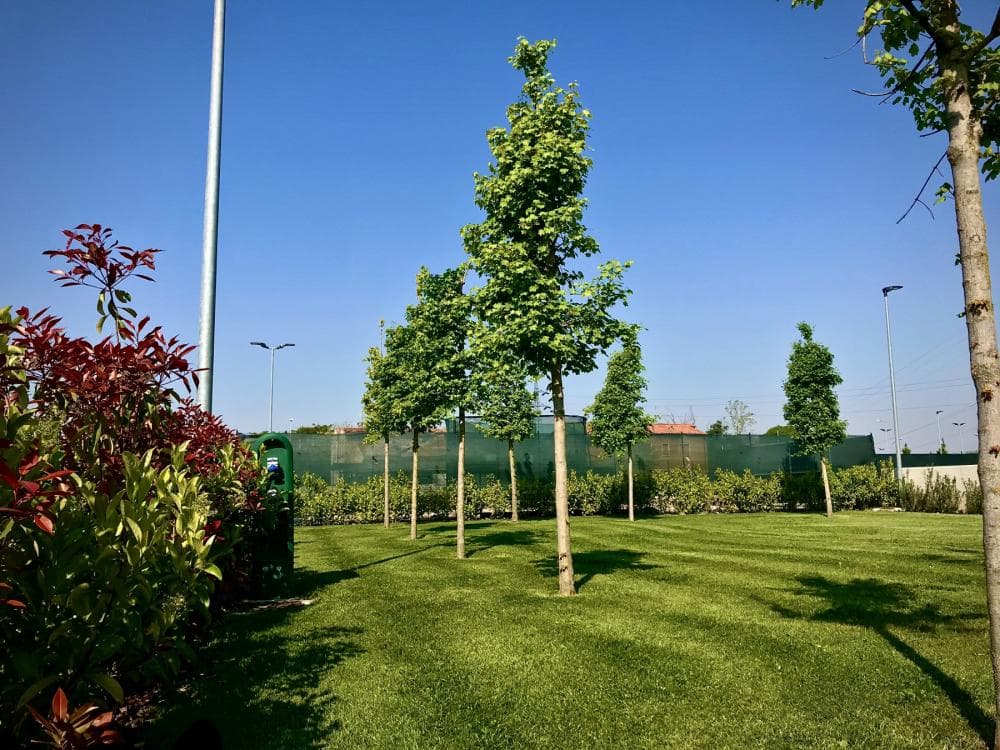A scenery from Camping Verona Village