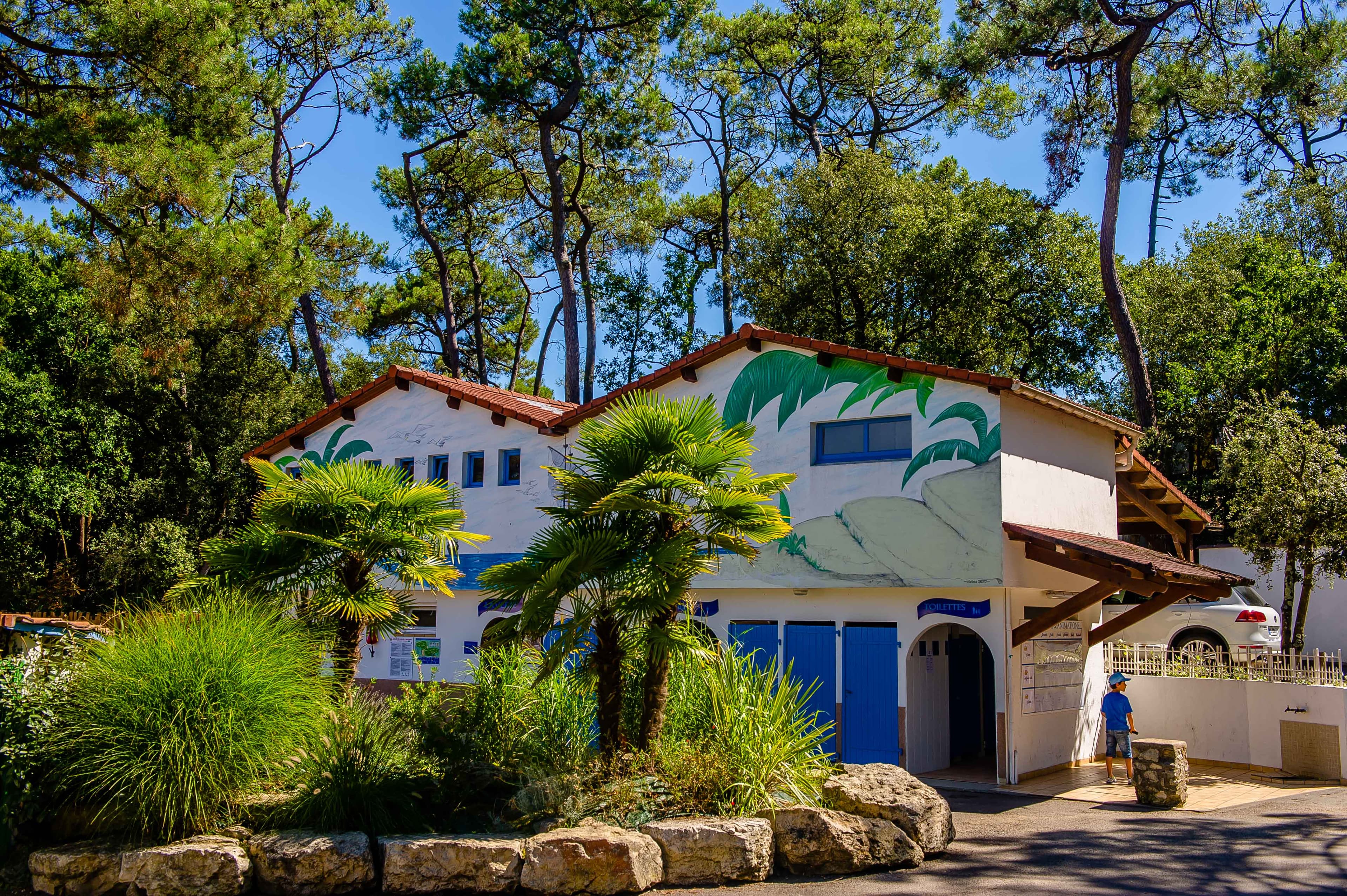 A scenery from Flower Camping Les Dunes