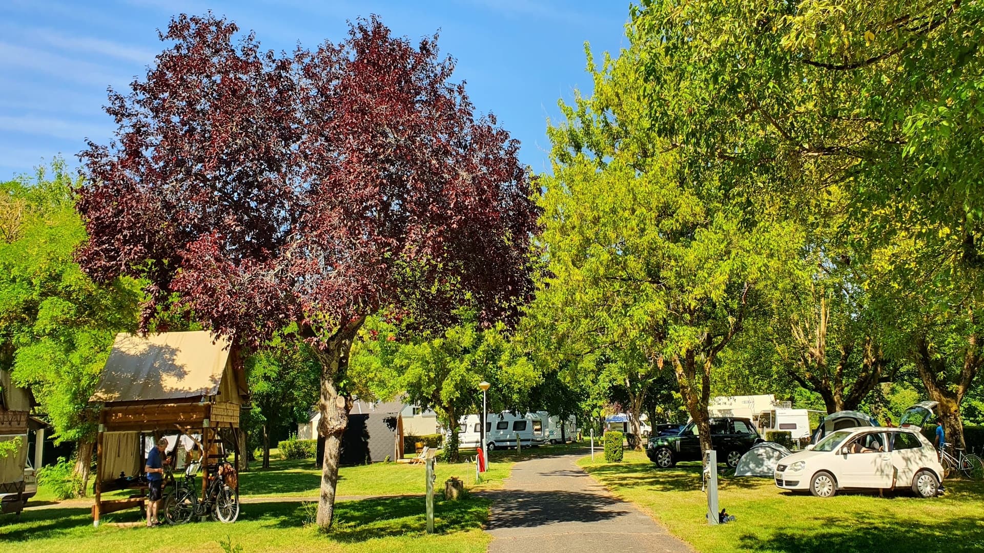 A scenery from Camping Les Patis