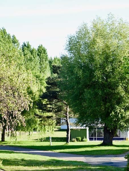 A scenery from Camping l'Ile d'Amour