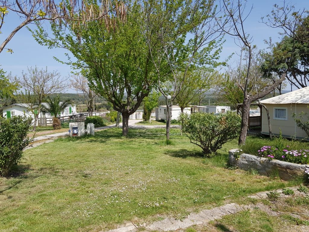 A scenery from Camping Borepo