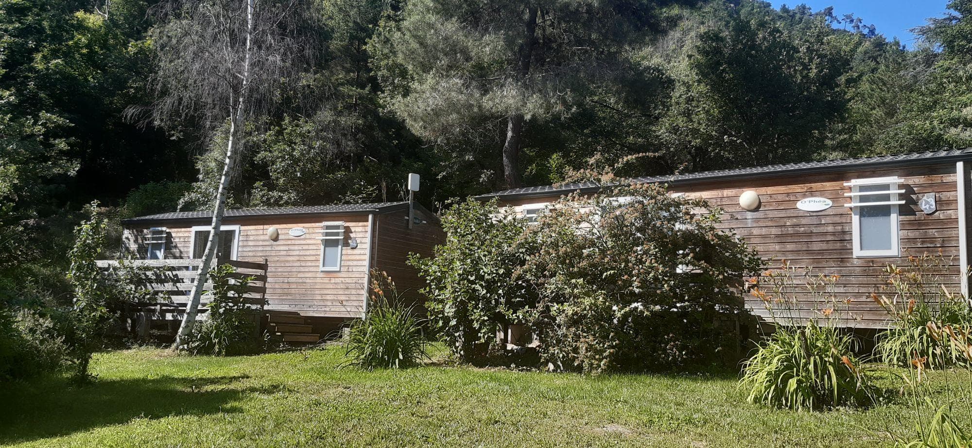 A scenery from Camping Les Cerisiers