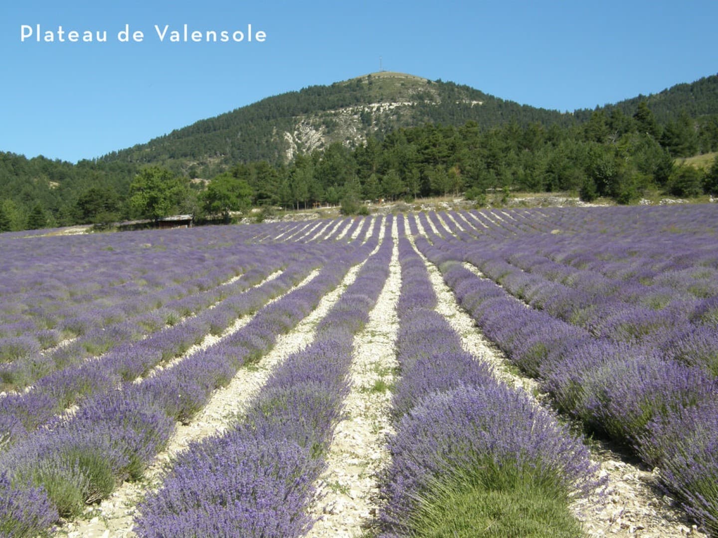 A scenery from Clico Chic - Camping Castillon de Provence