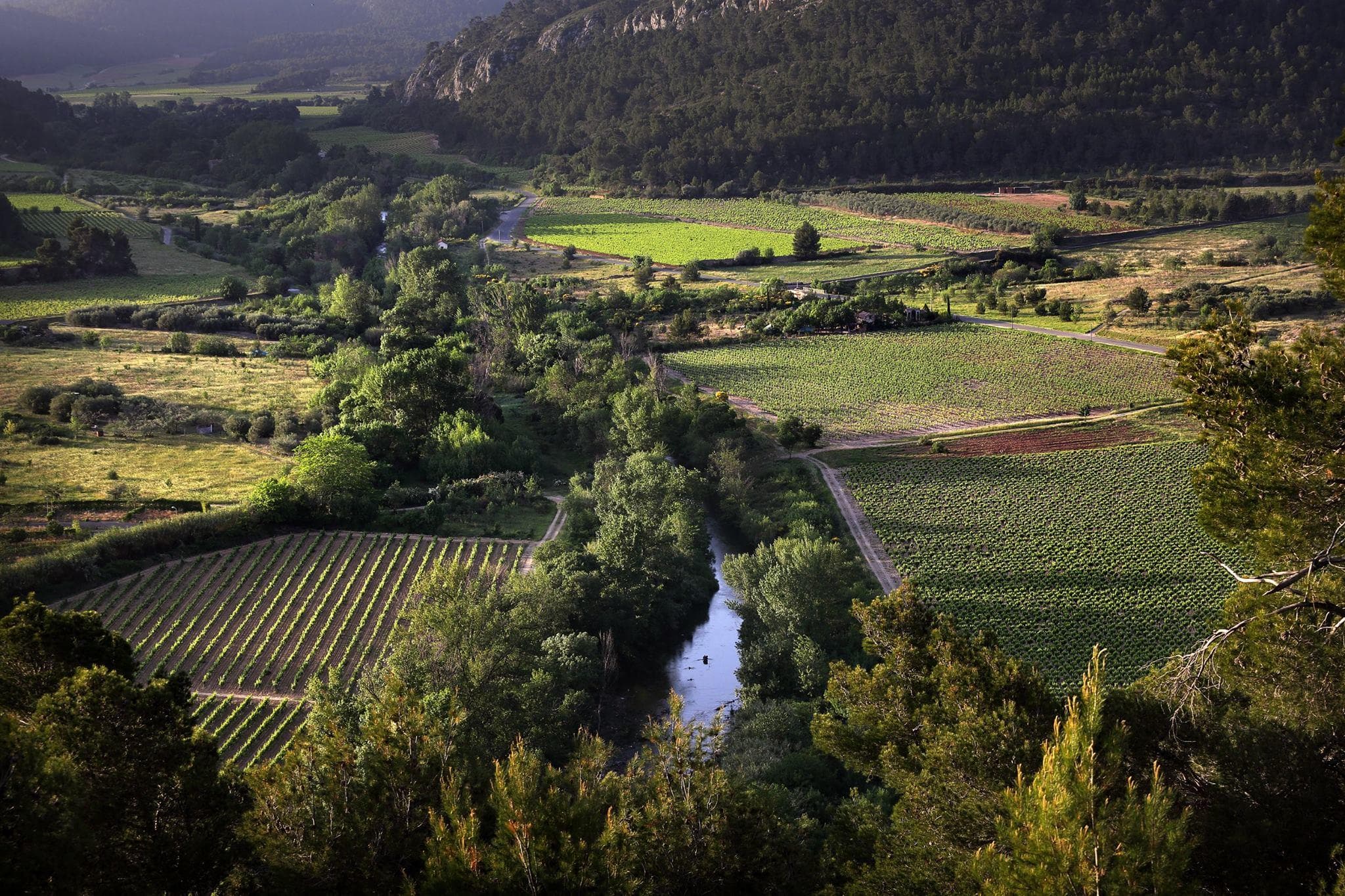 A scenery from Flower Camping Olivigne