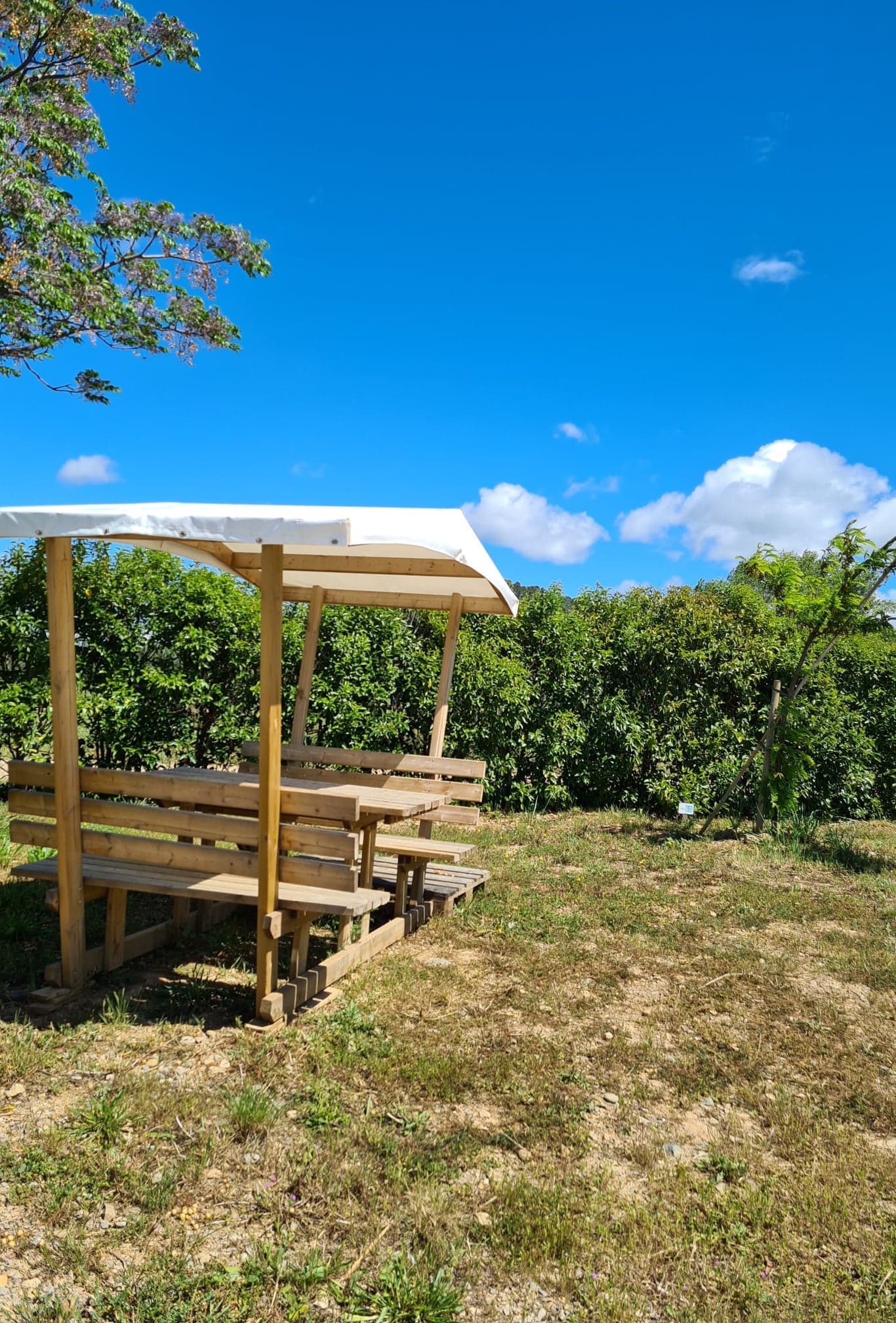 A scenery from Flower Camping Olivigne