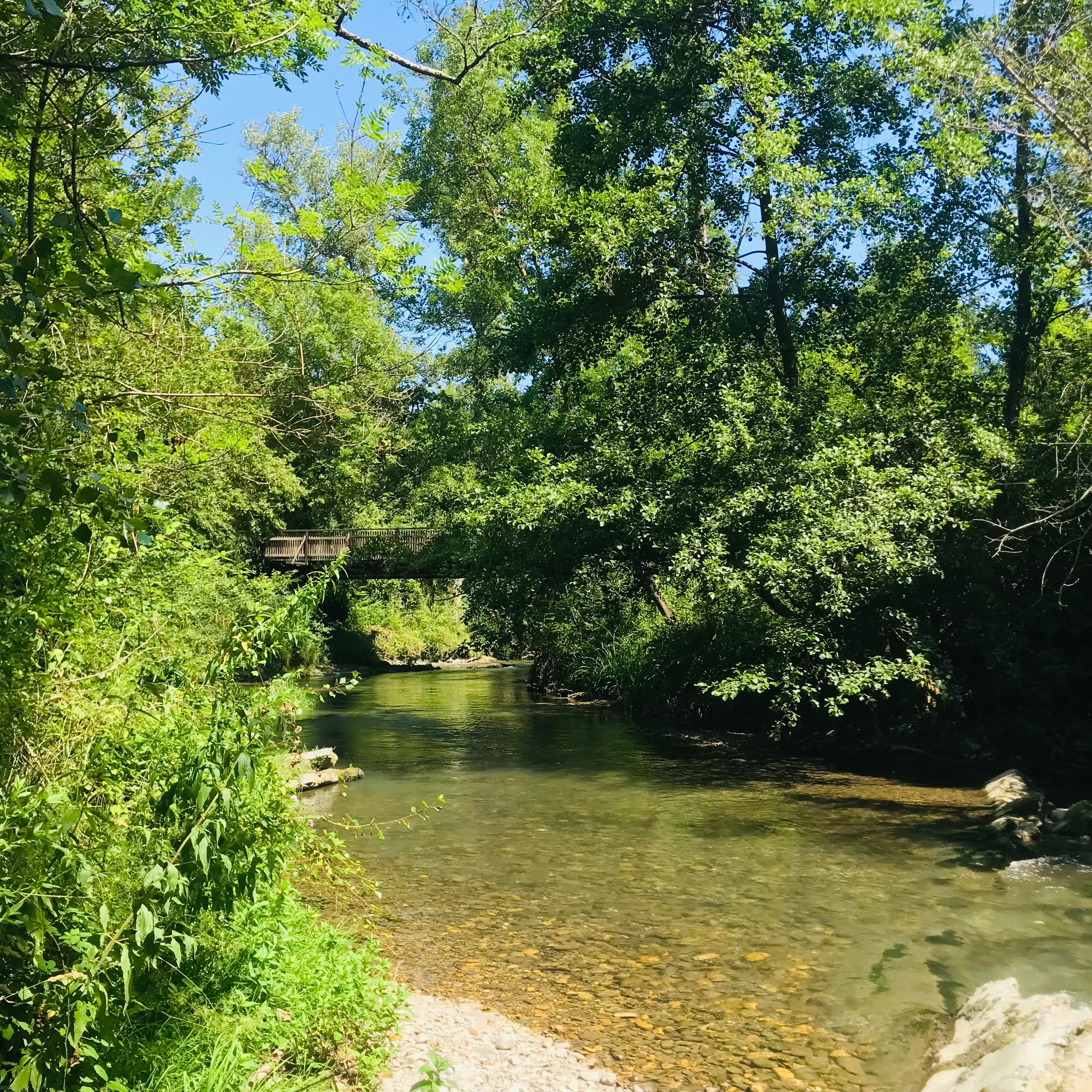 A scenery from Camping La Vaugelette