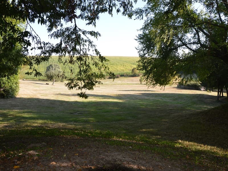 A scenery from La Forêt Enchantée