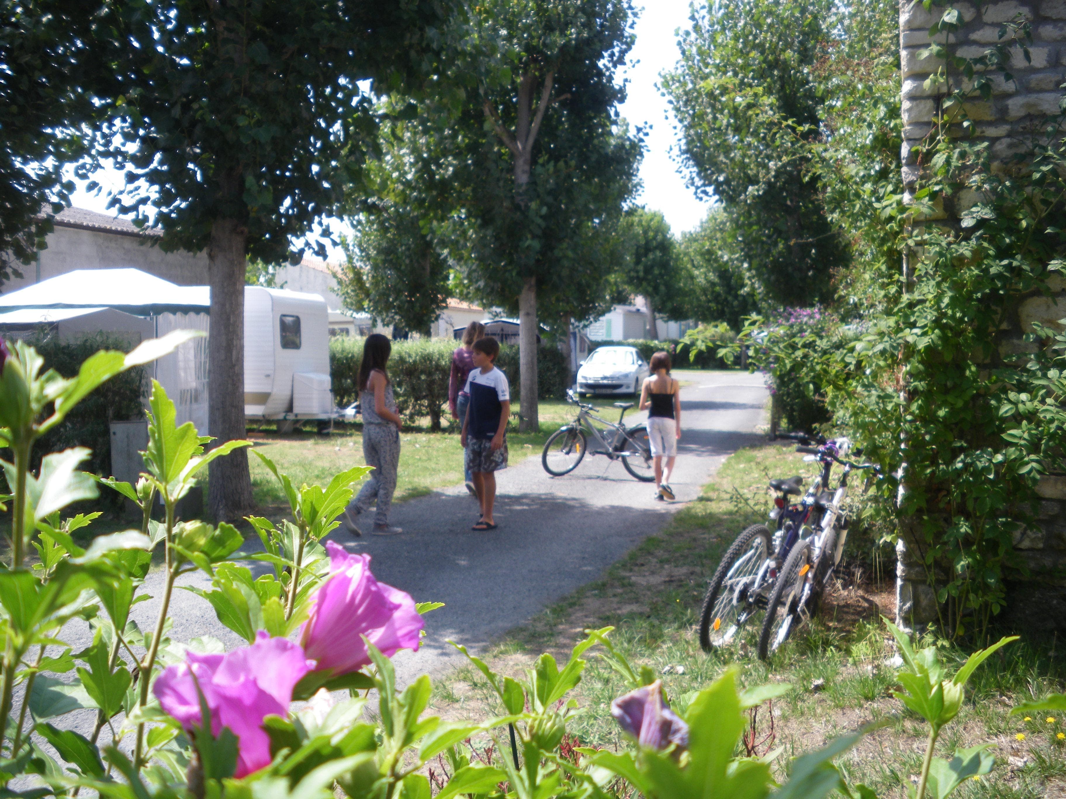 A scenery from Camping Le Maine