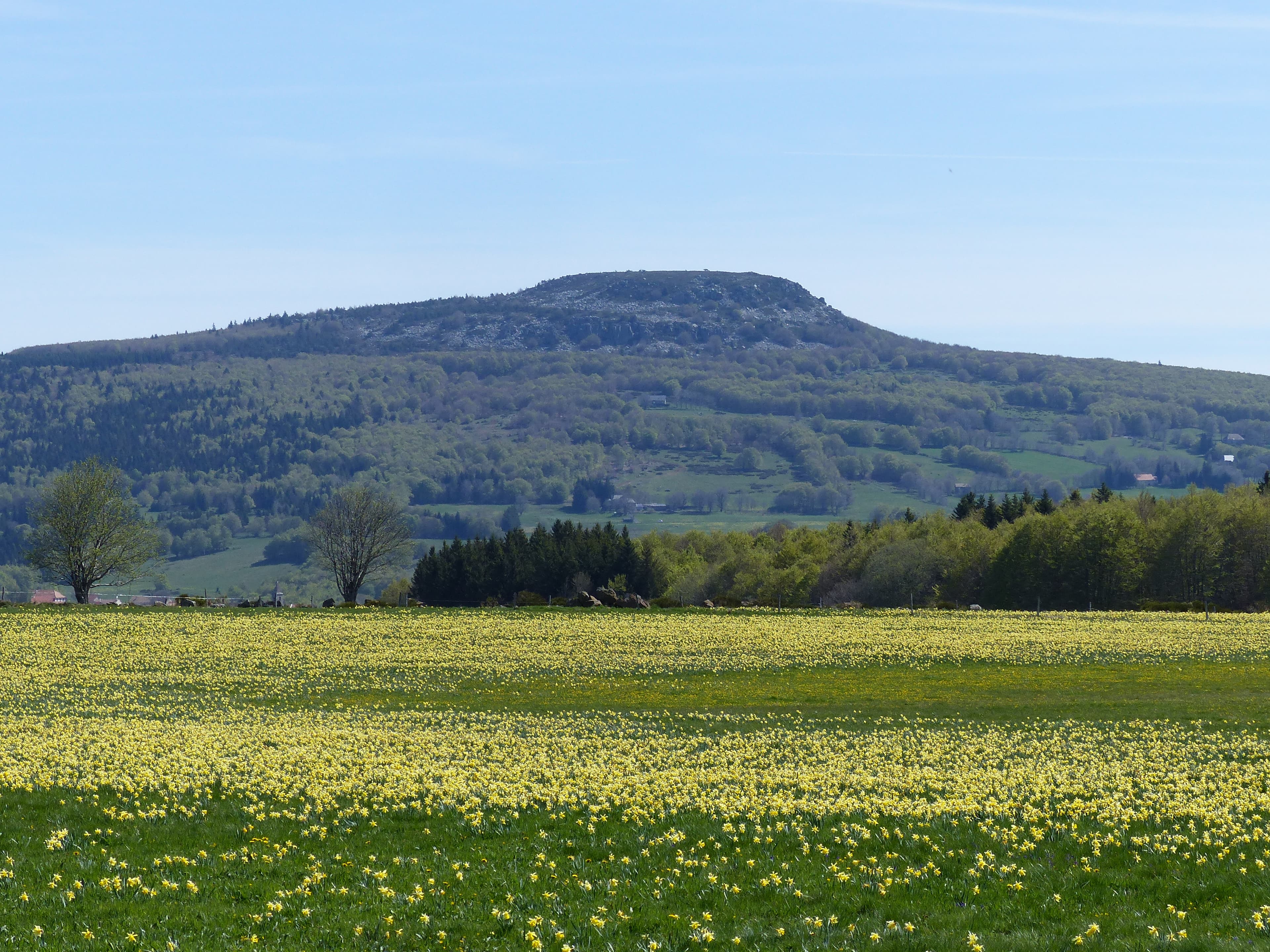 A scenery from Domaine des Vans - Terres de France