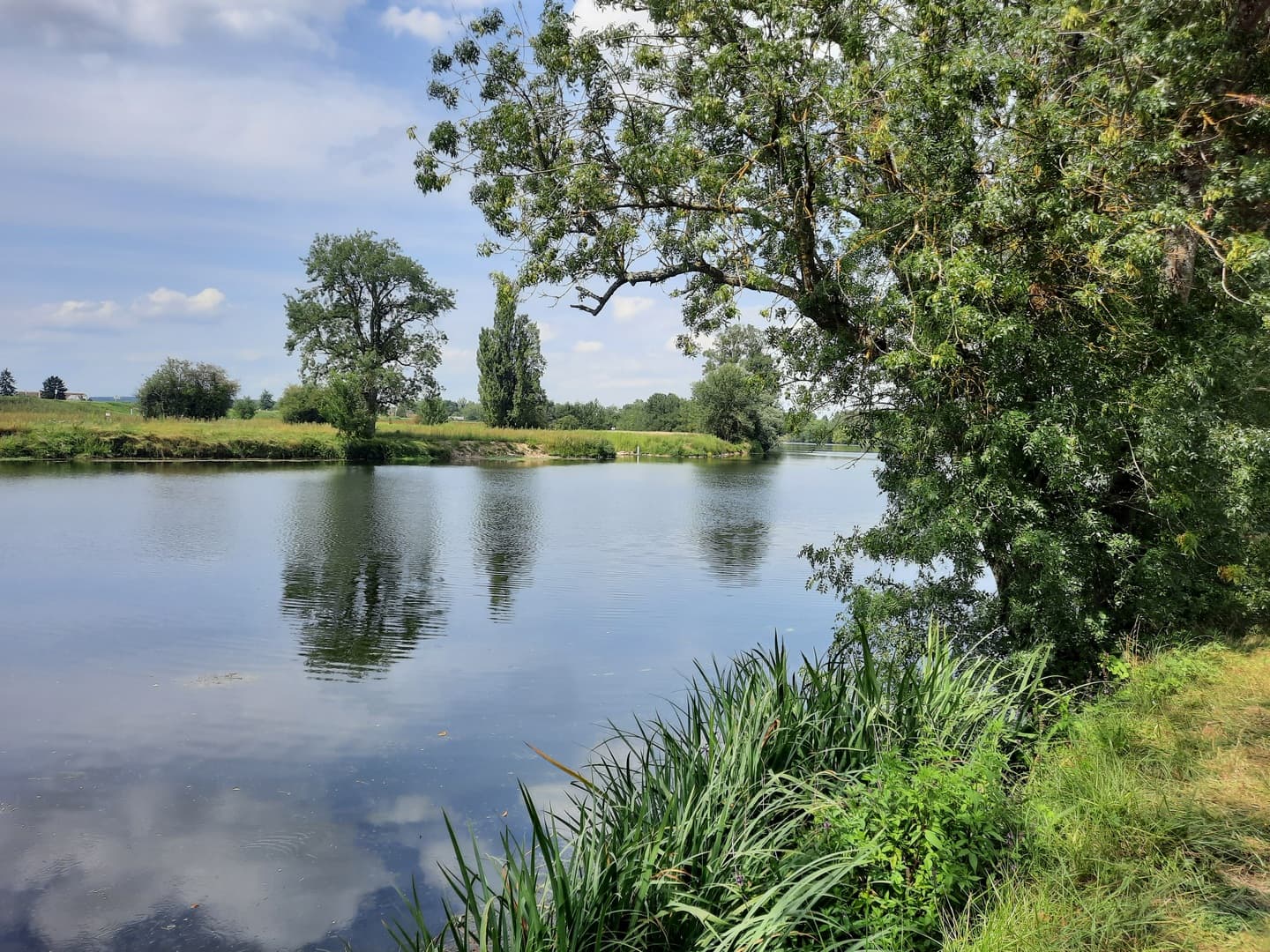 A scenery from Camping Onlycamp La Confluence