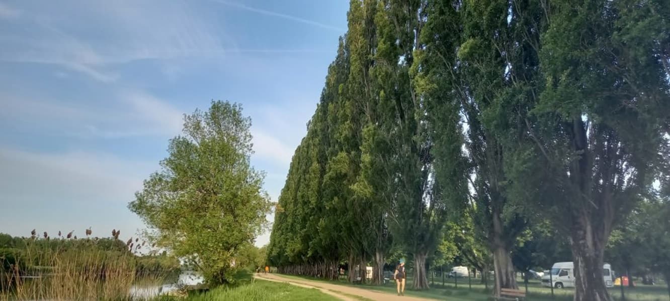 A scenery from Camping Onlycamp La Gâtine