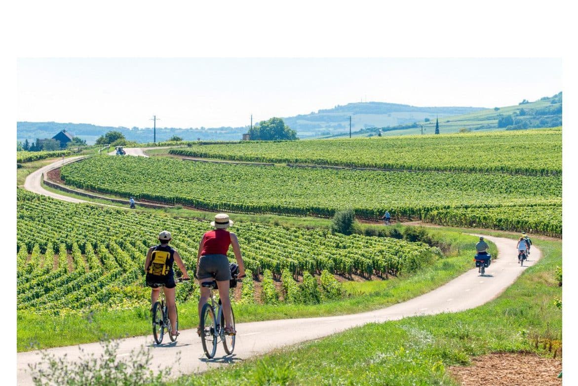 A scenery from Camping Onlycamp Les Premières Vignes