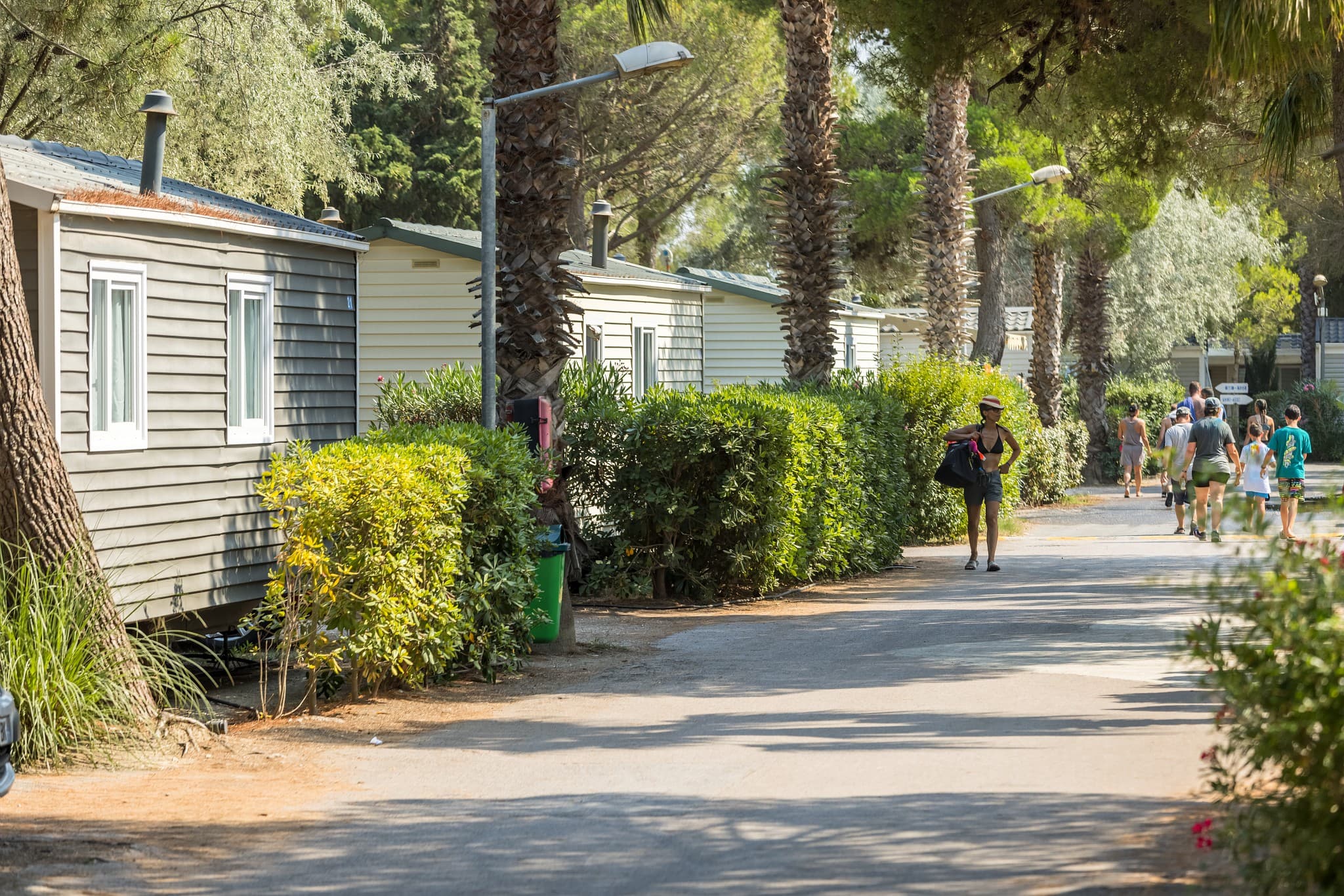 A scenery from Camping Homair - La Palmeraie