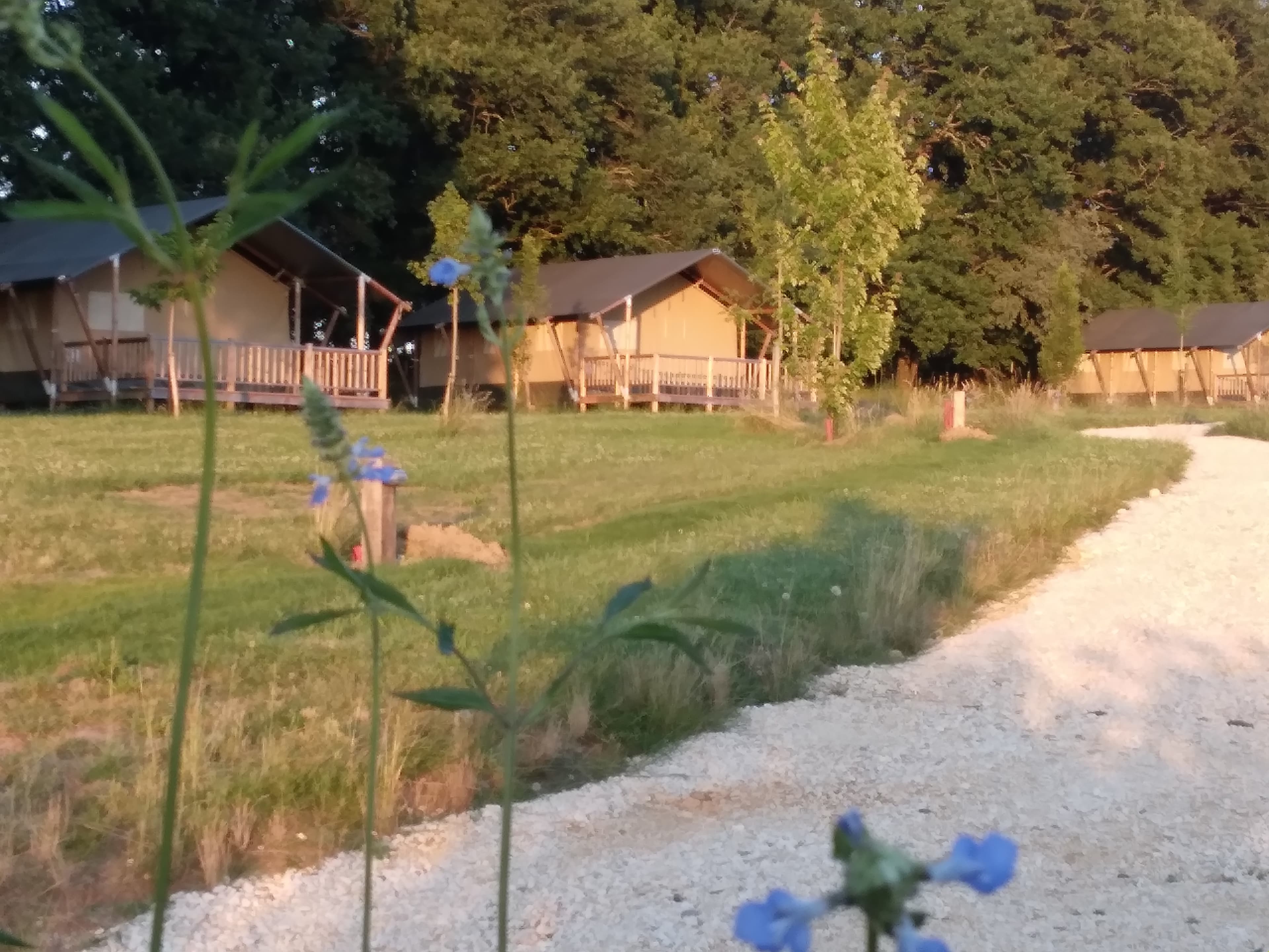 A scenery from Village Glamping Le Pré Des Chênes