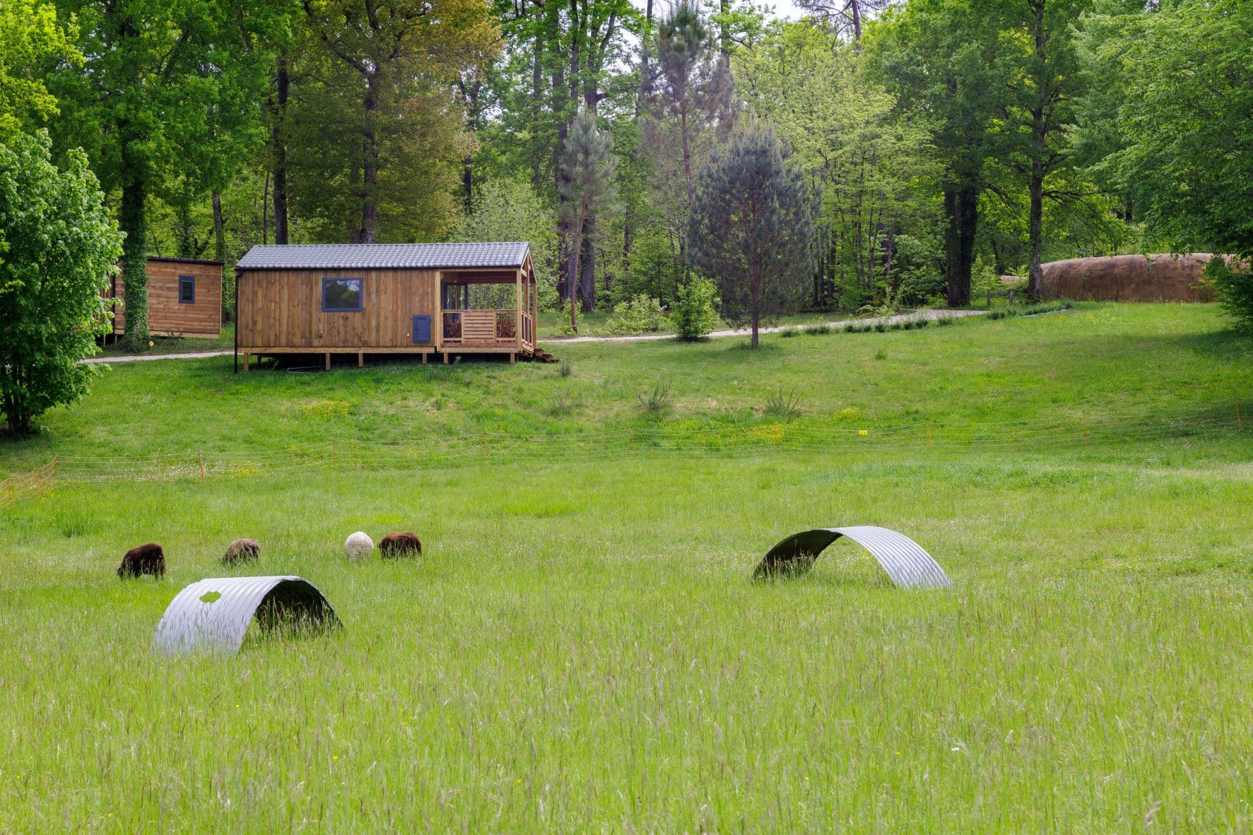 A scenery from Camping La Clairière