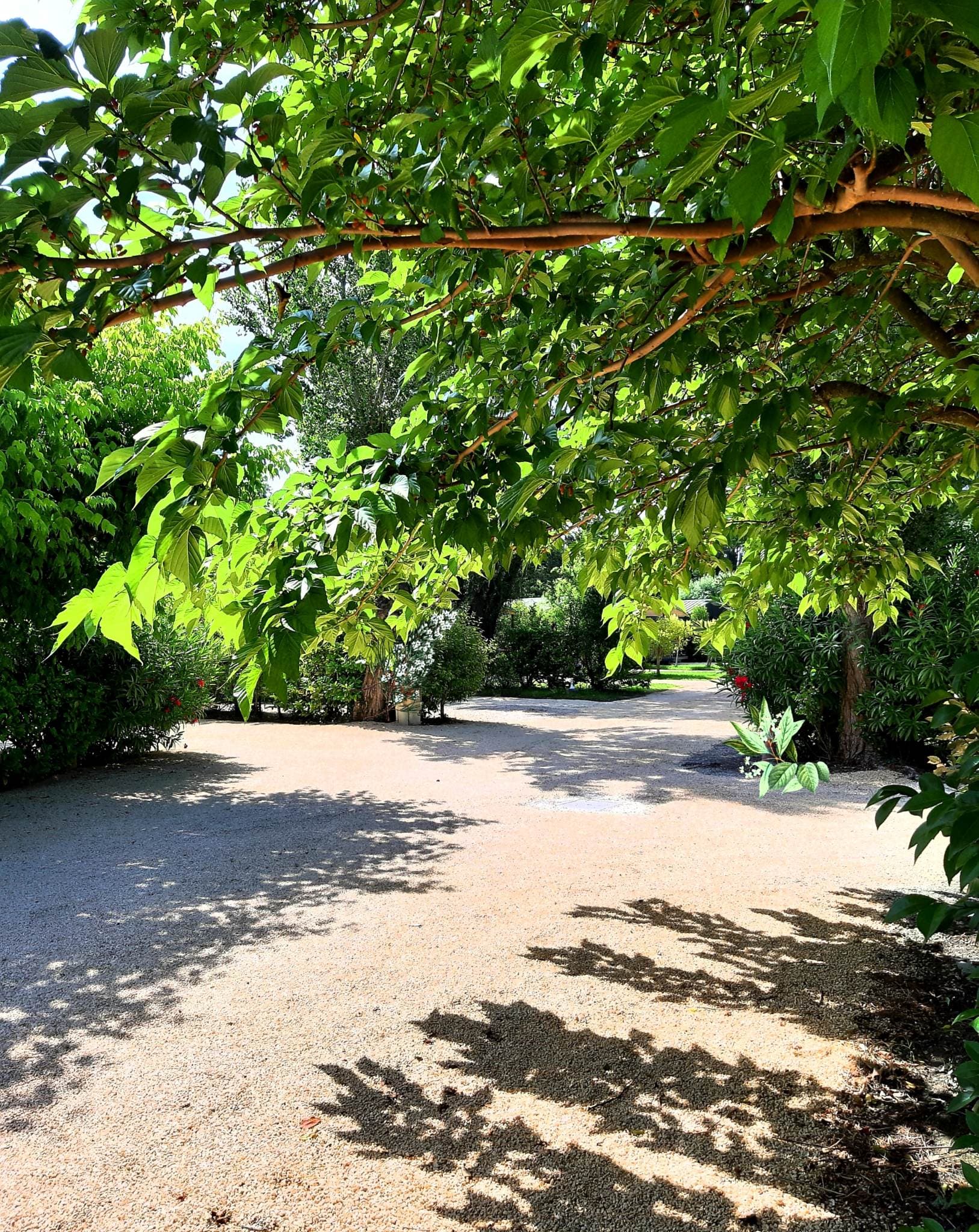 A scenery from Camping Verbela village
