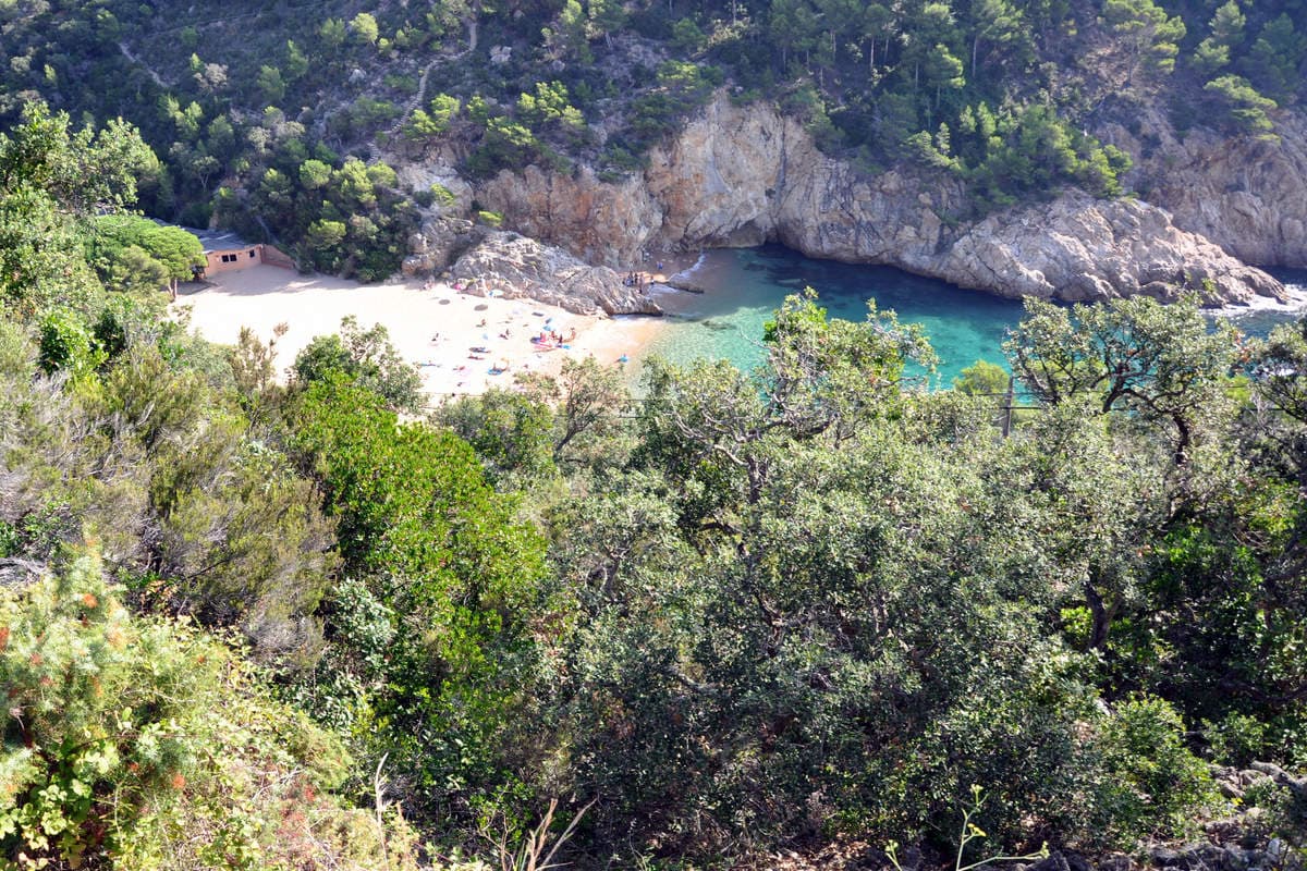 A scenery from Camping Cala Pola