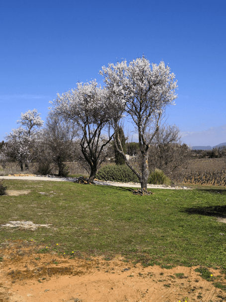 A scenery from Gîtes St Estève