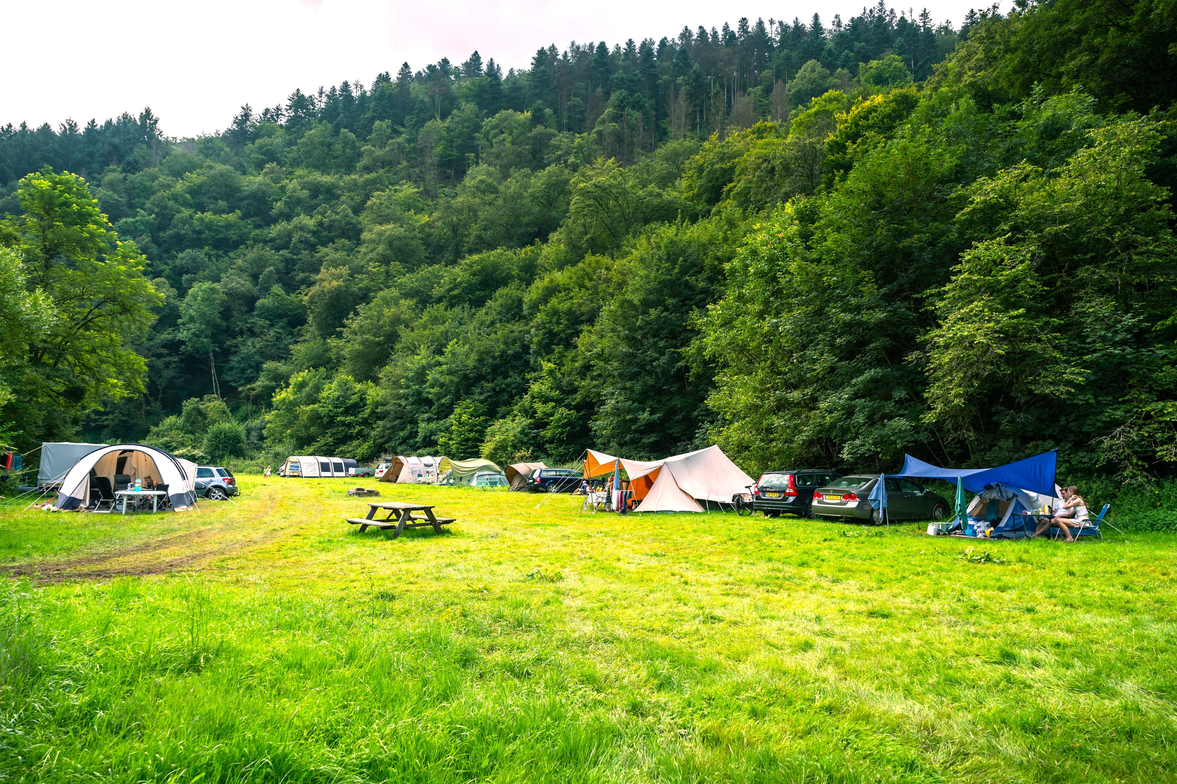 A scenery from Moselcampingplatz Alf