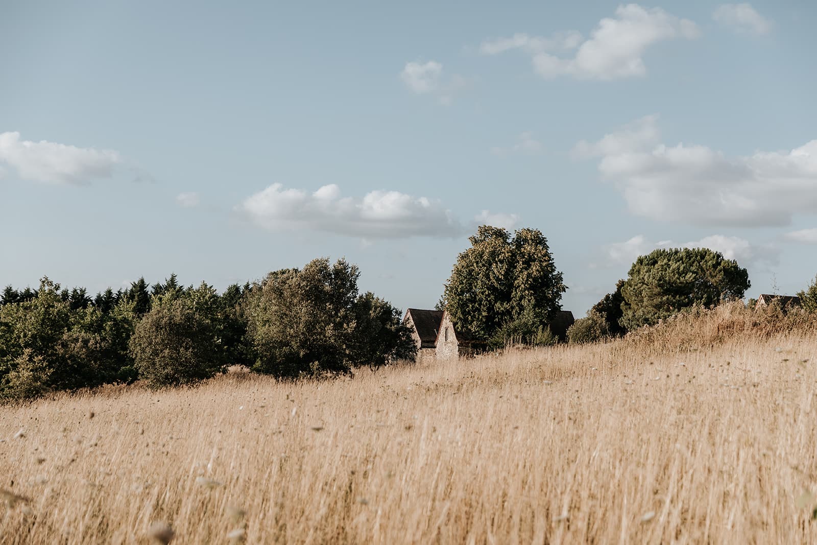 A scenery from Domaine Saint-Amand