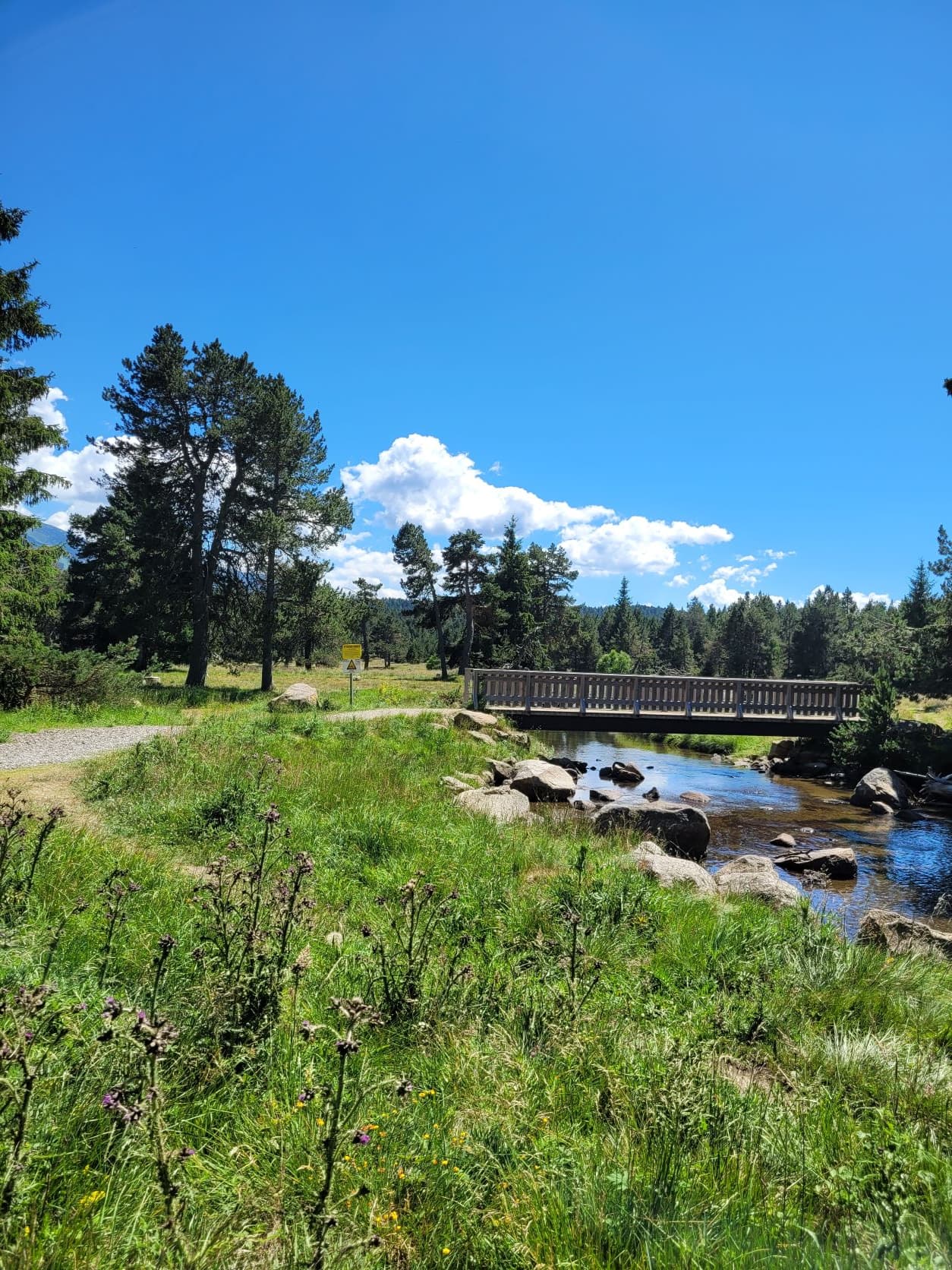 A scenery from Camping LE PETIT CANADA      (Les Bouillouses)