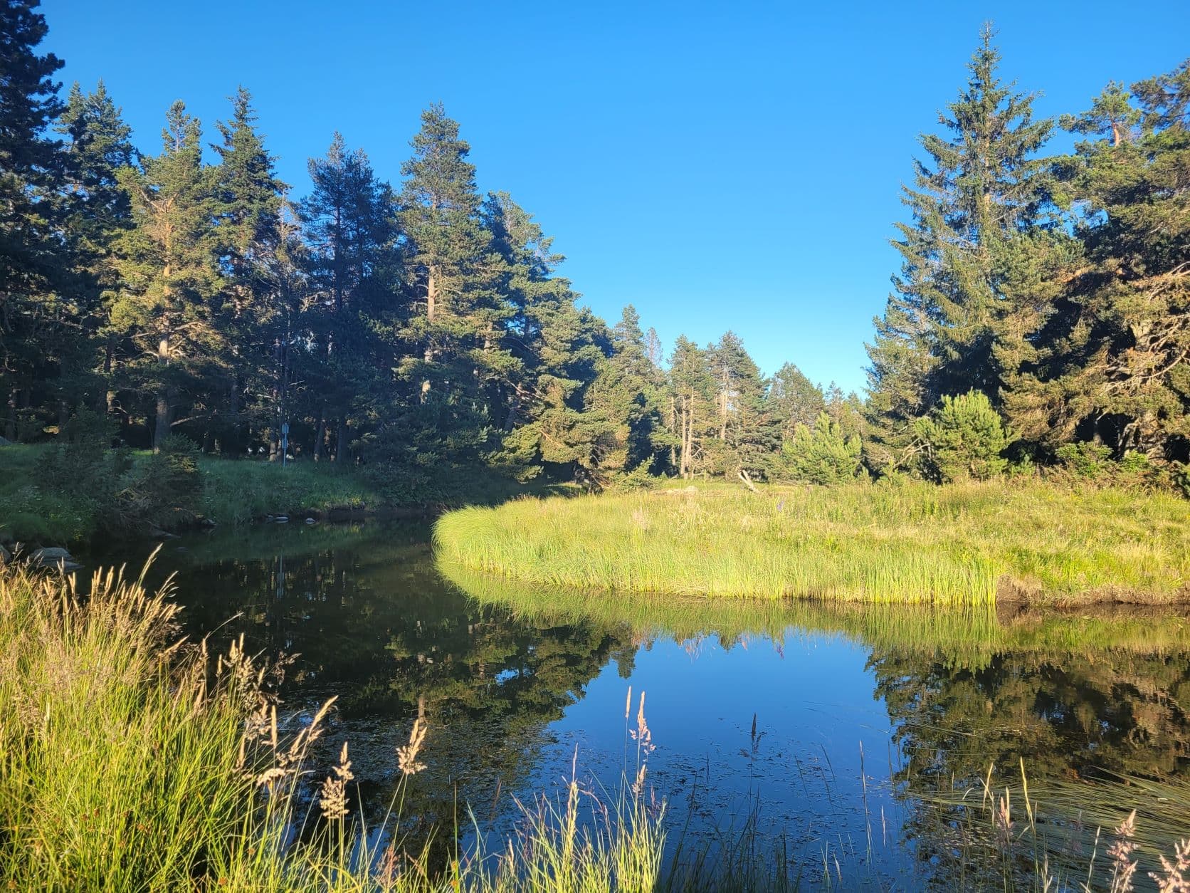 A scenery from Camping LE PETIT CANADA      (Les Bouillouses)