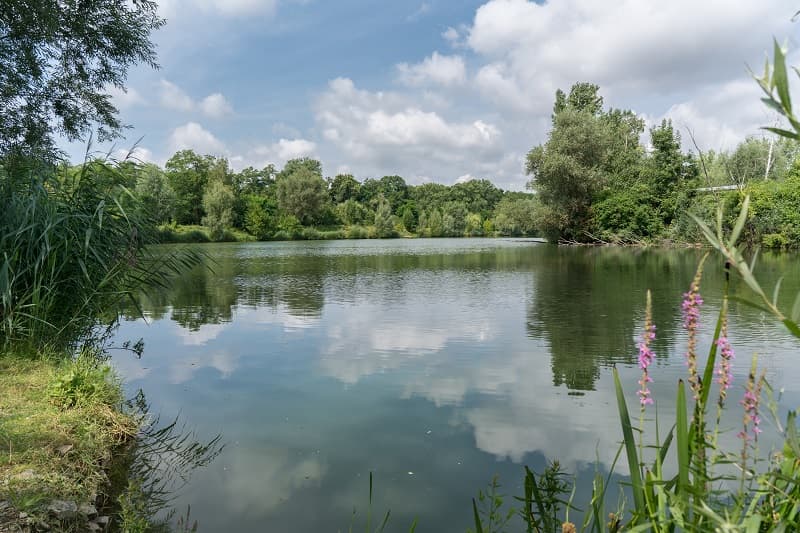 A scenery from Camping am Hirschfeldsee - Sperrfechter Freizeitpark