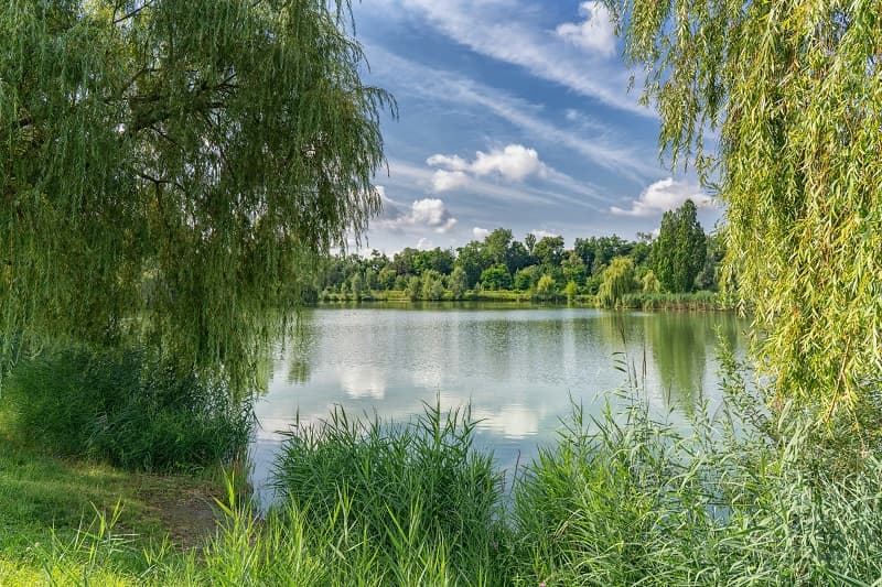 A scenery from Camping am Hirschfeldsee - Sperrfechter Freizeitpark