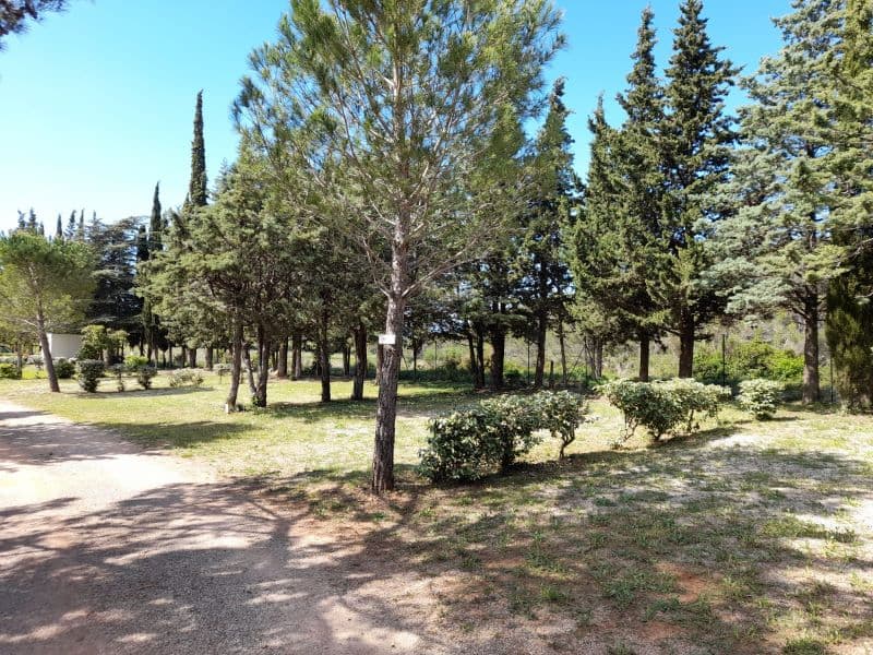 A scenery from Camping Le Pinada