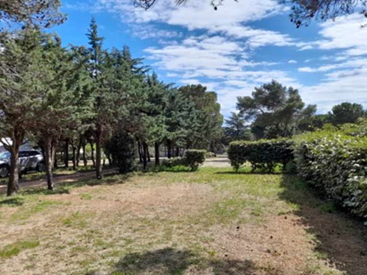 A scenery from Camping Le Pinada