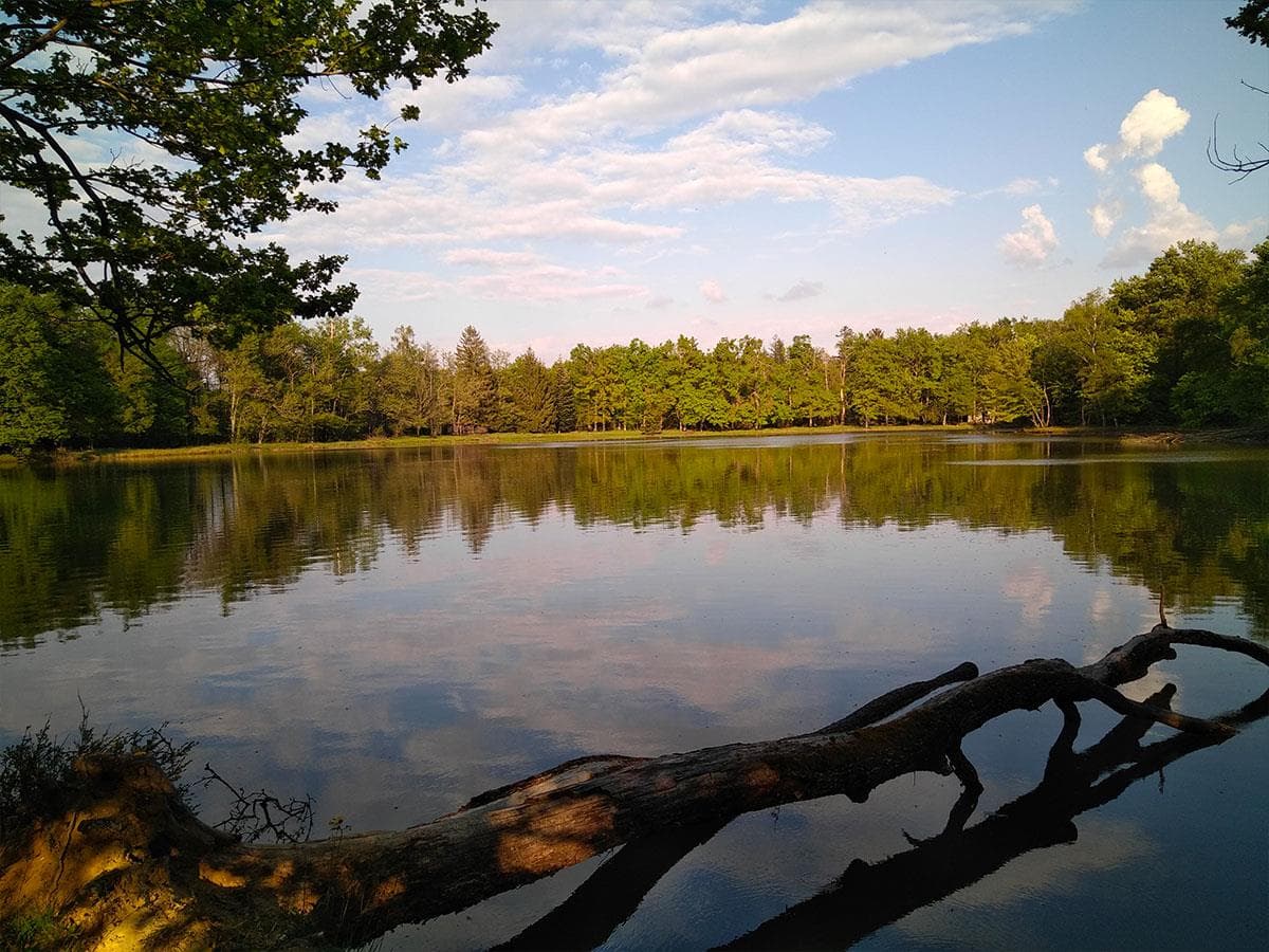 A scenery from Camping la Bissera