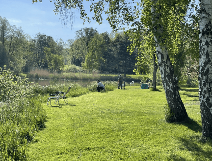 A scenery from Camping Coeur d'Alsace