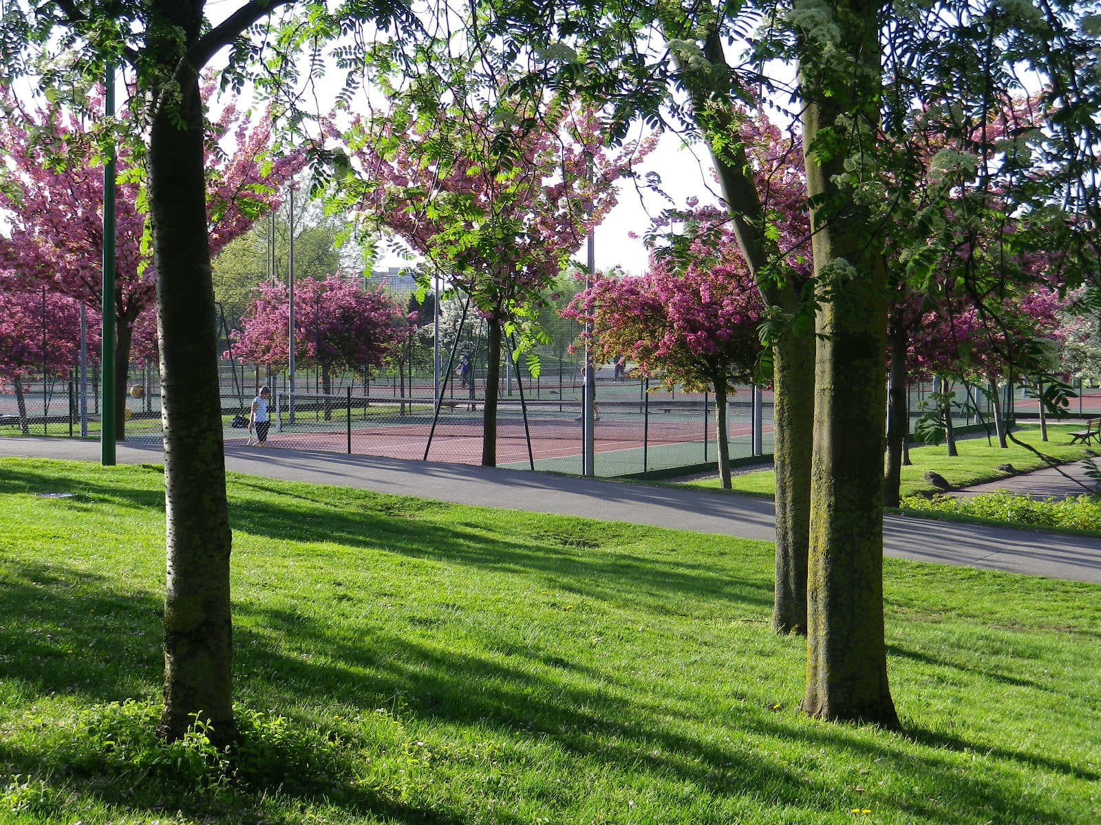 A scenery from Camping Homair - Paris Est