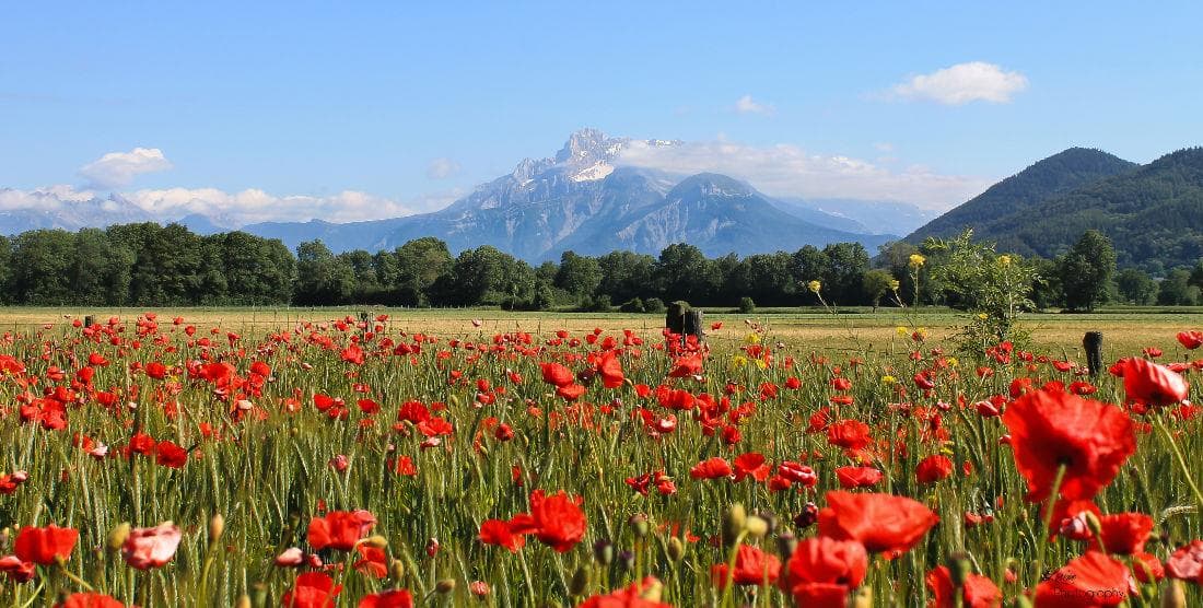 A scenery from Camping Au Pré Du Lac
