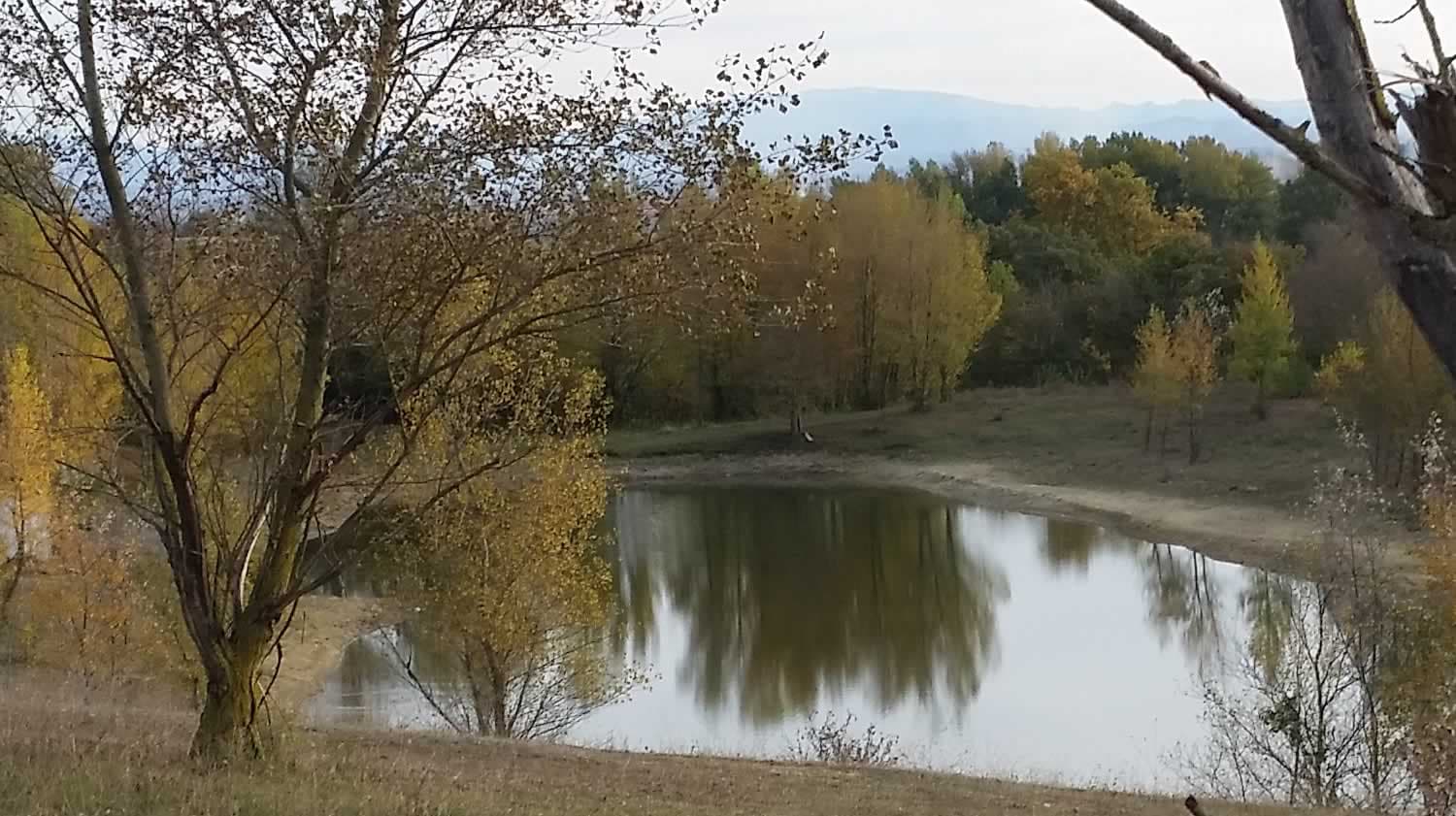 A scenery from Camping aux 4 vues