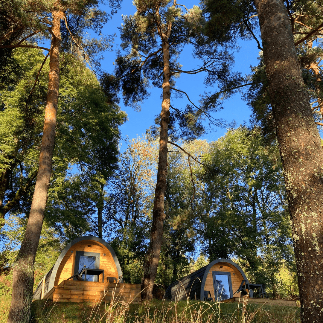 A scenery from Camping Sérendipité
