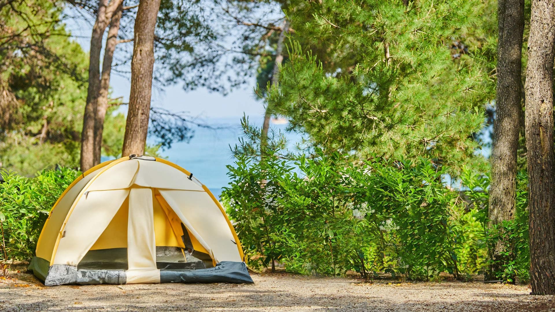 A scenery from Aminess Avalona Camping Resort