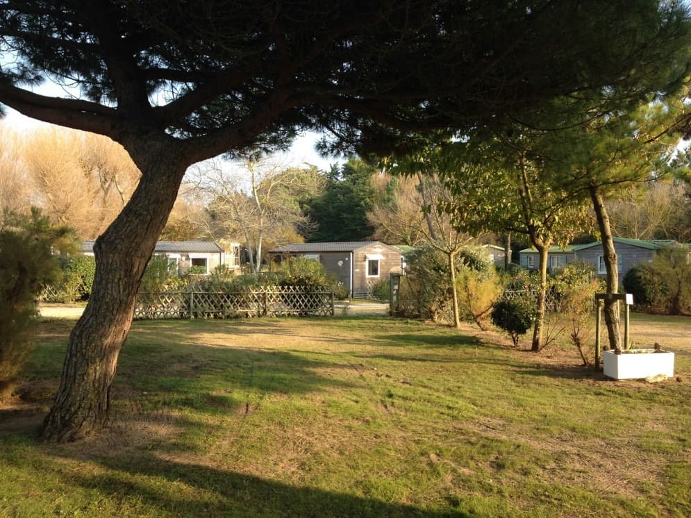 A scenery from Camping Sandaya Interlude