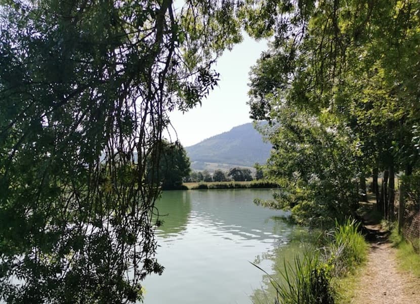 A scenery from Camping du Lac de Fontclaire