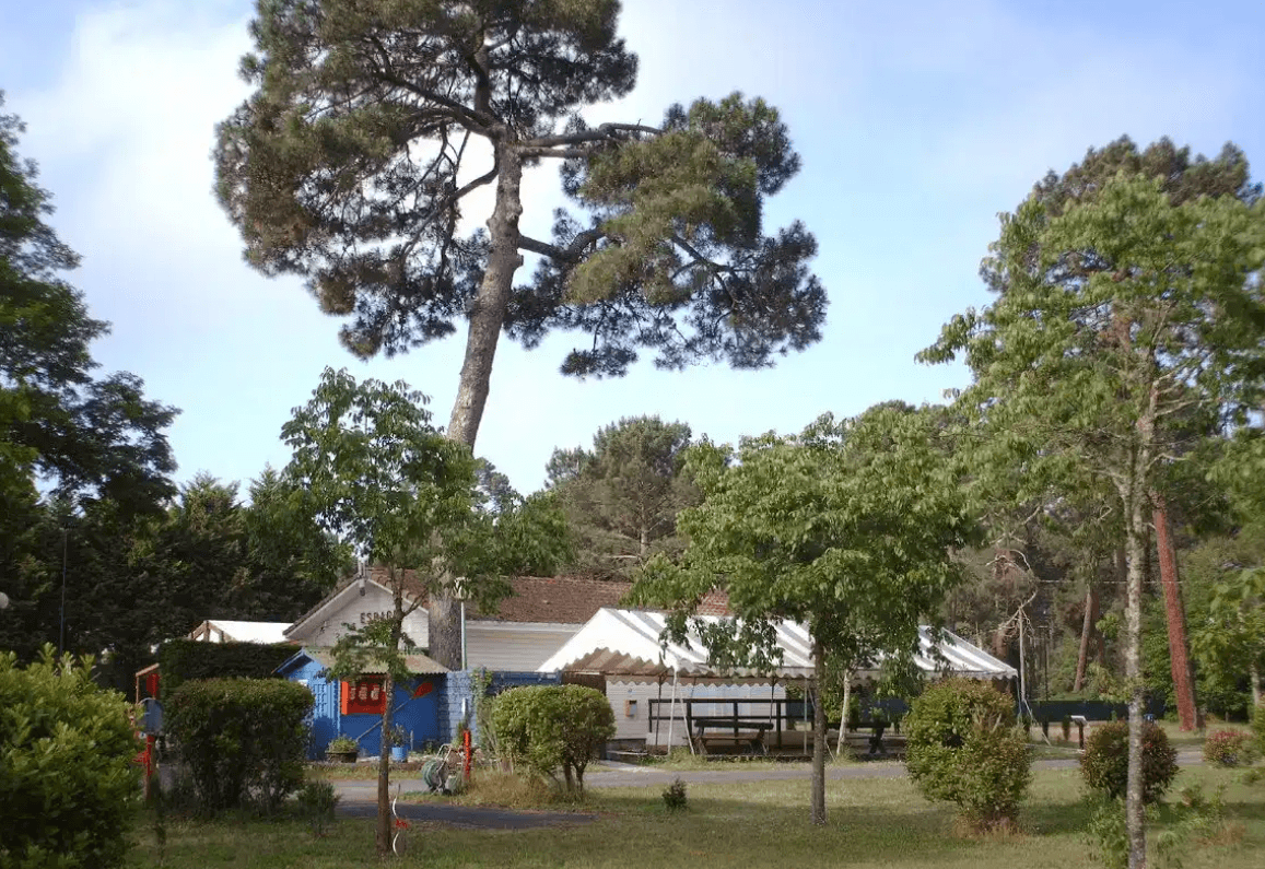 A scenery from Camping Seasonova Le Lac de Cazaux