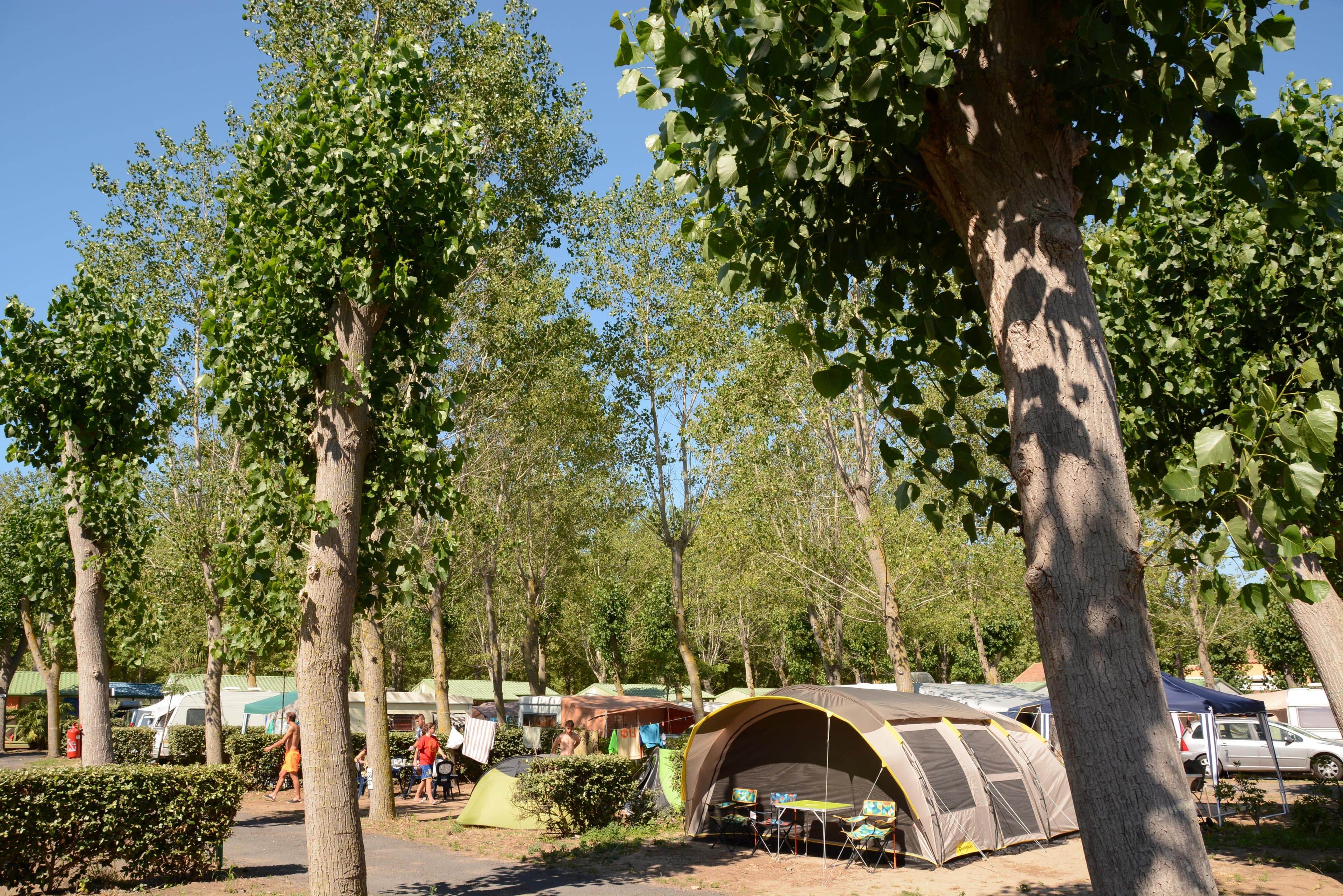 A scenery from Camping Homair - Le Napoléon